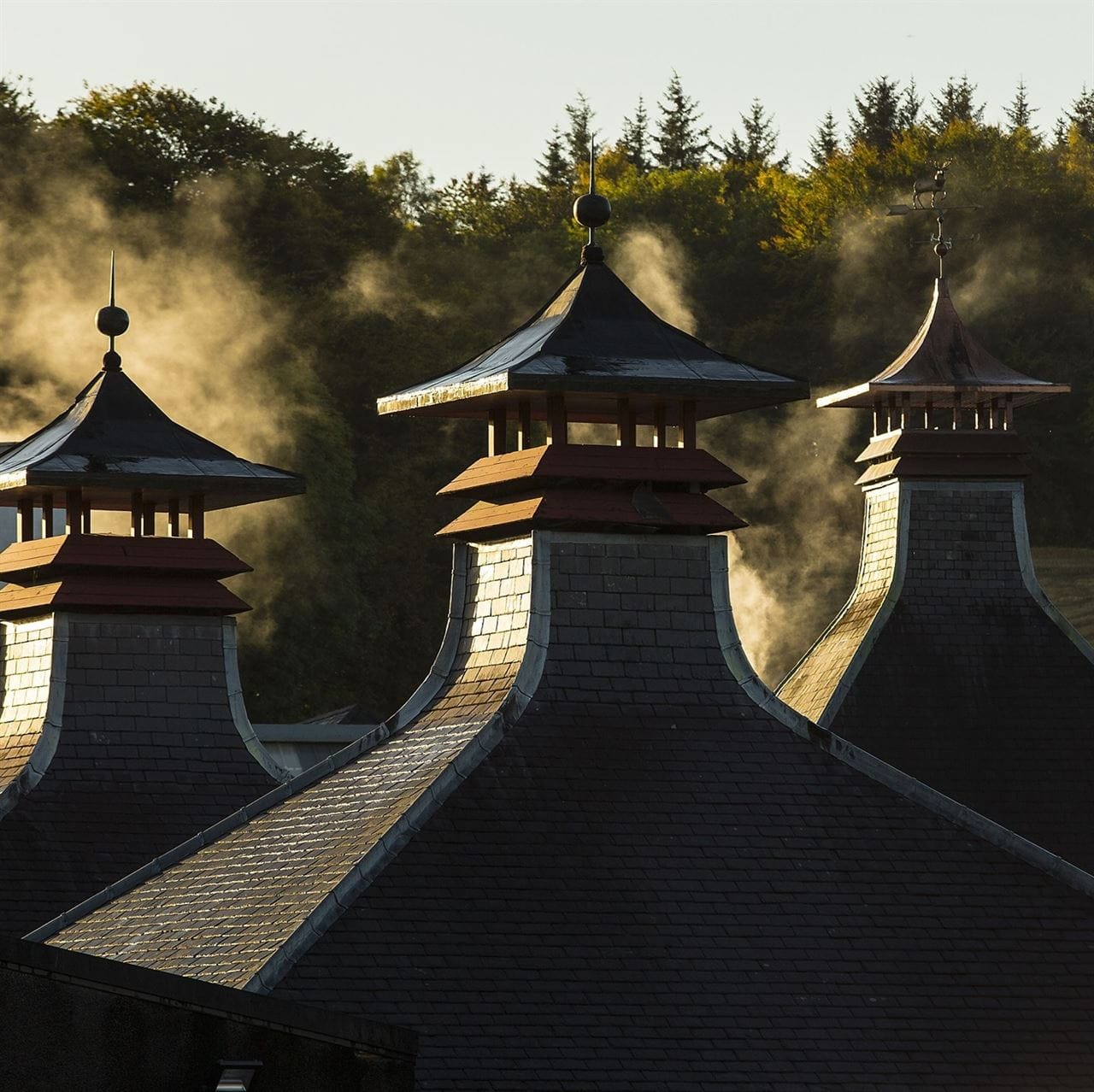 L'Ecosse compte 139 distilleries de whisky en 2022