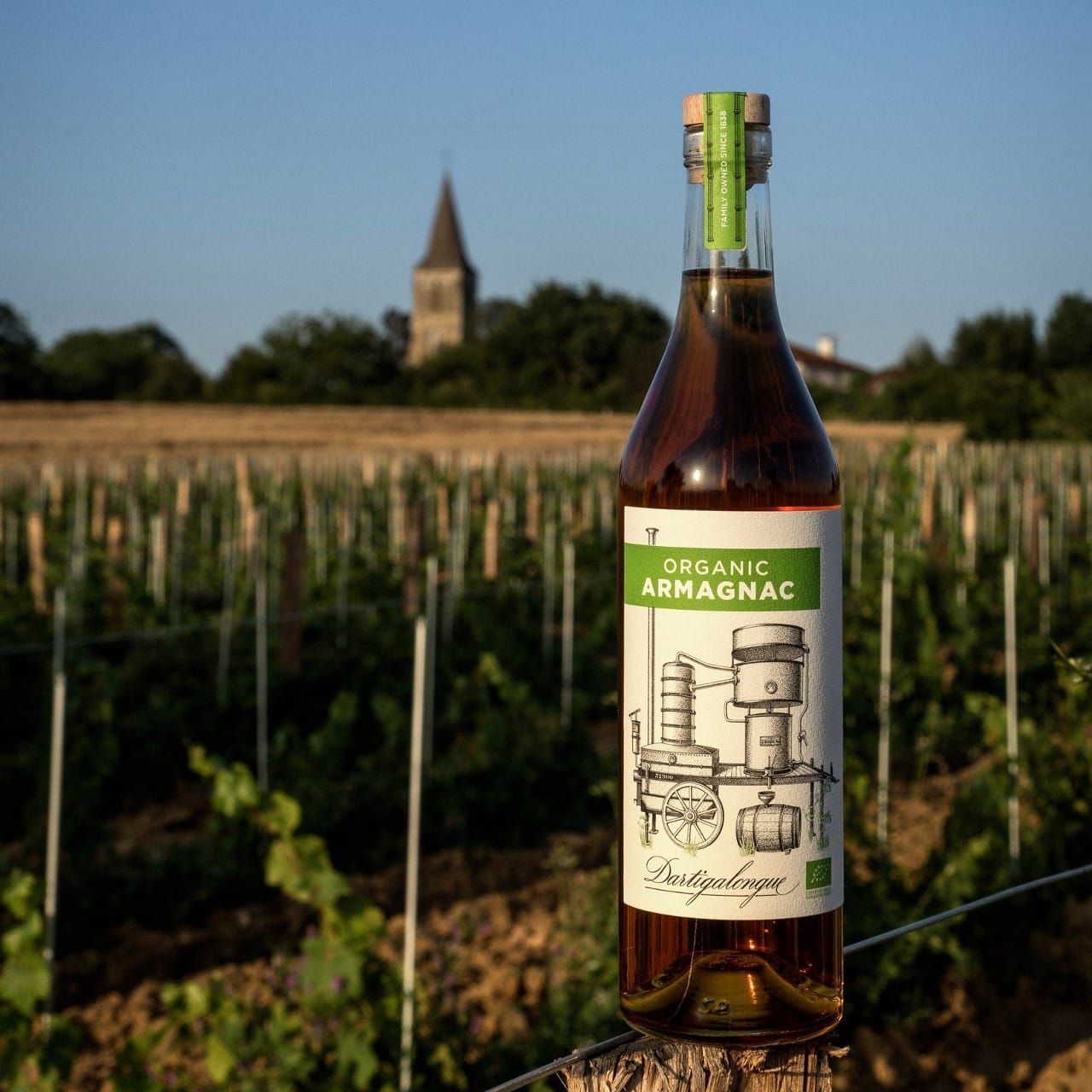 Dartigalongue complète sa gamme "Expérience" avec un bas-Armagnac labellisé Agriculture Biologique