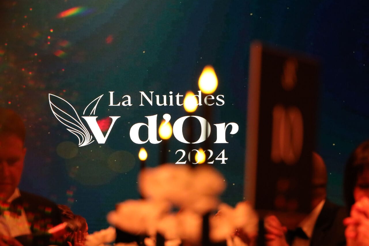 Les lauréats des V d’Or sont annoncés