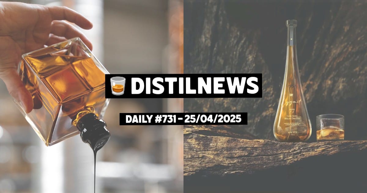 DistilNews Daily #731
