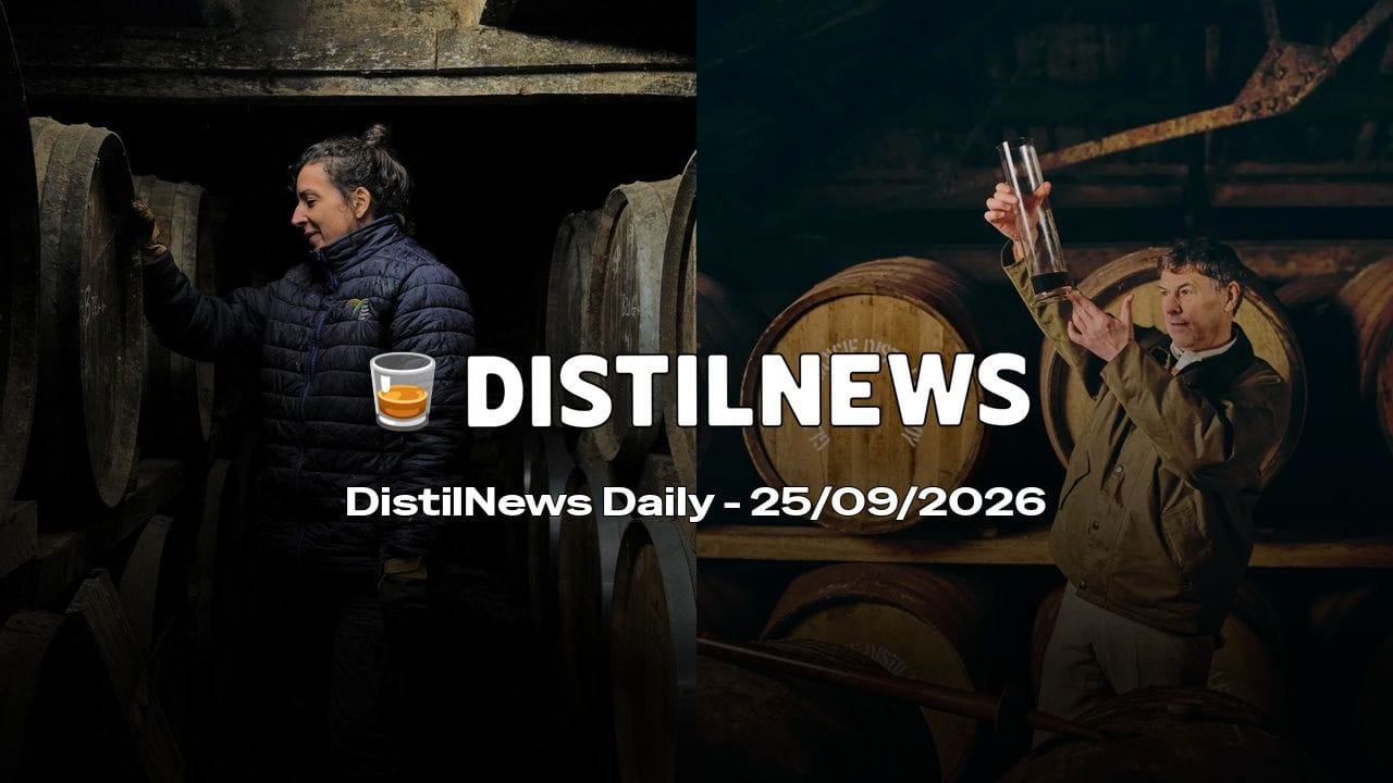 DistilNews Daily #1050