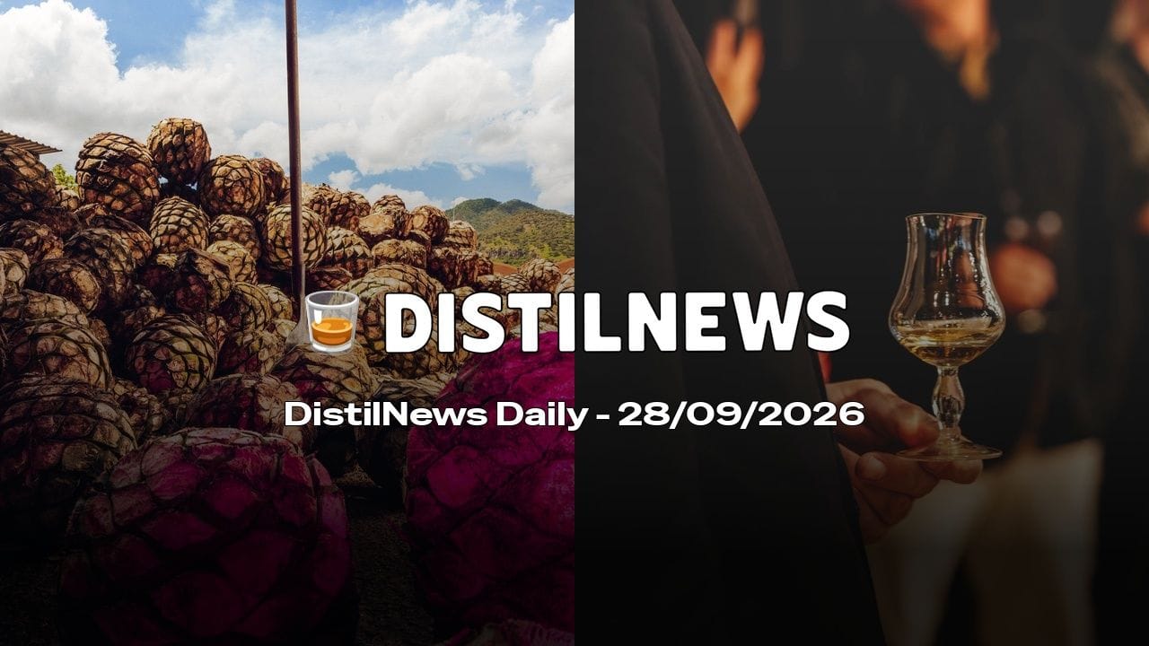 DistilNews Daily #1051