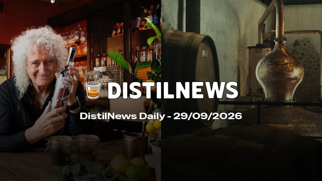 DistilNews Daily #1052