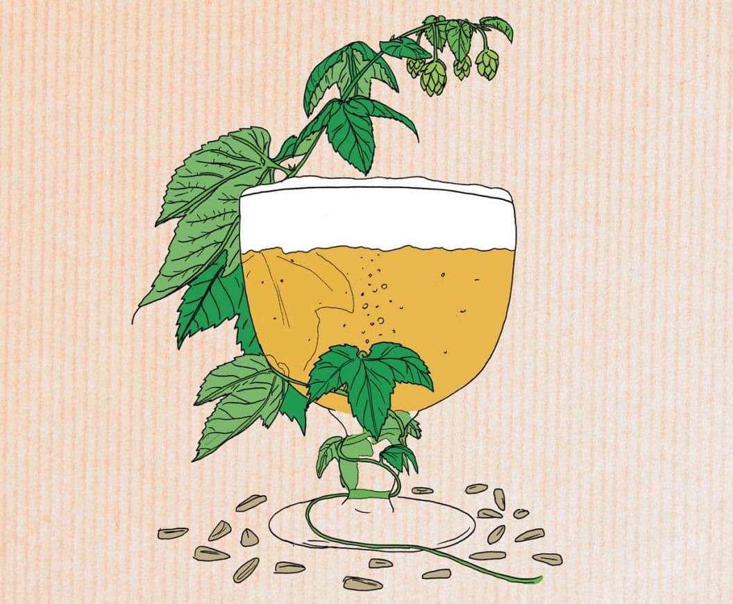Apprendre à brasser sa bière en 1h