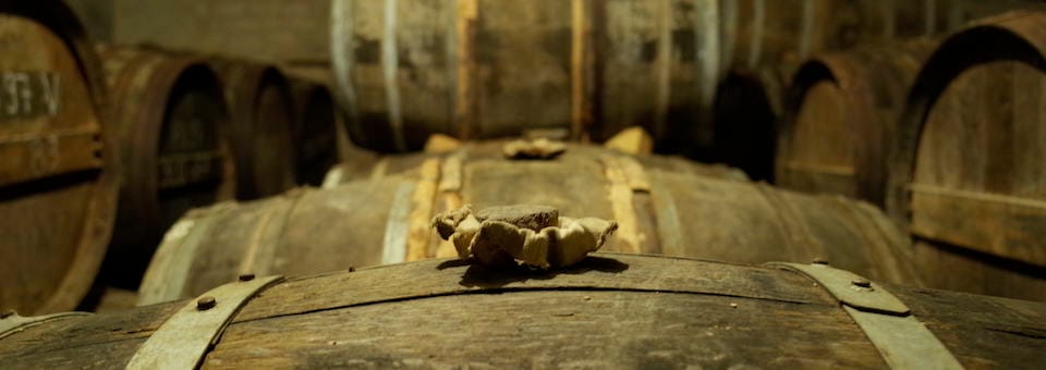 Détour chez l’Horloger du Cognac, Pierre Lecat