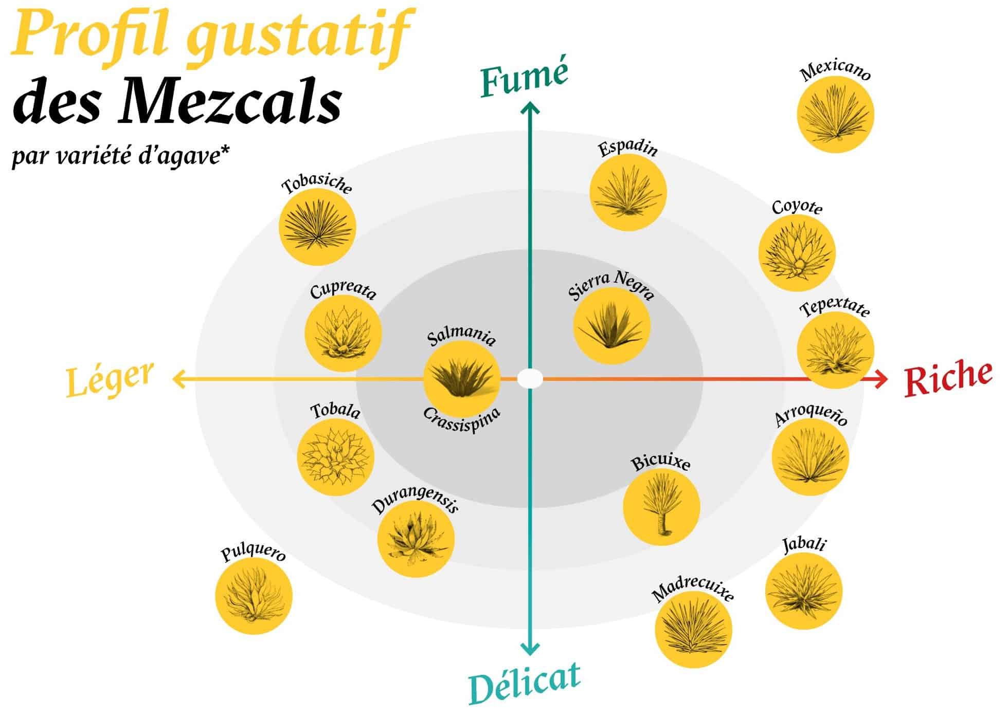 Quel mezcal est fait pour vous ? Deux infographies pour y répondre