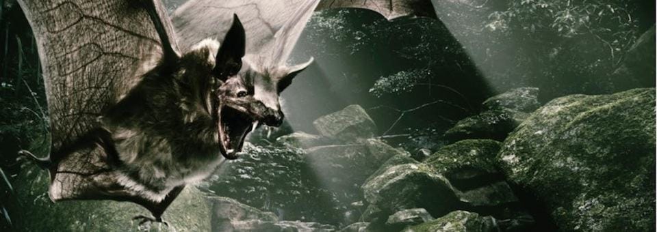 Pampero : A Perfect Blend of Good and Evil