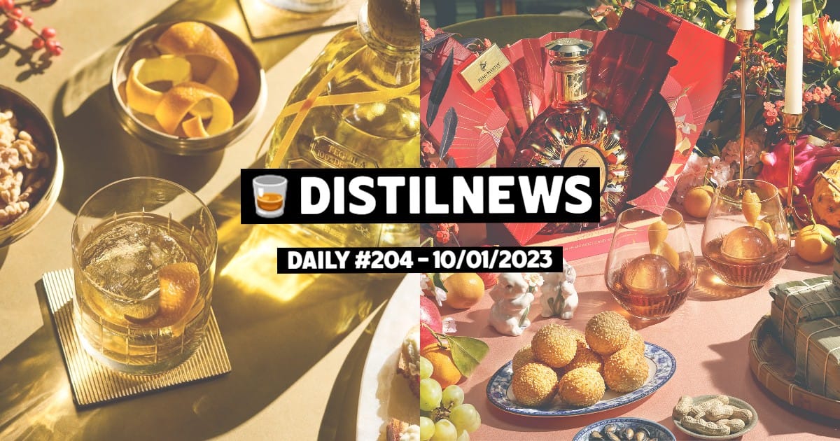 DistilNews Daily #204