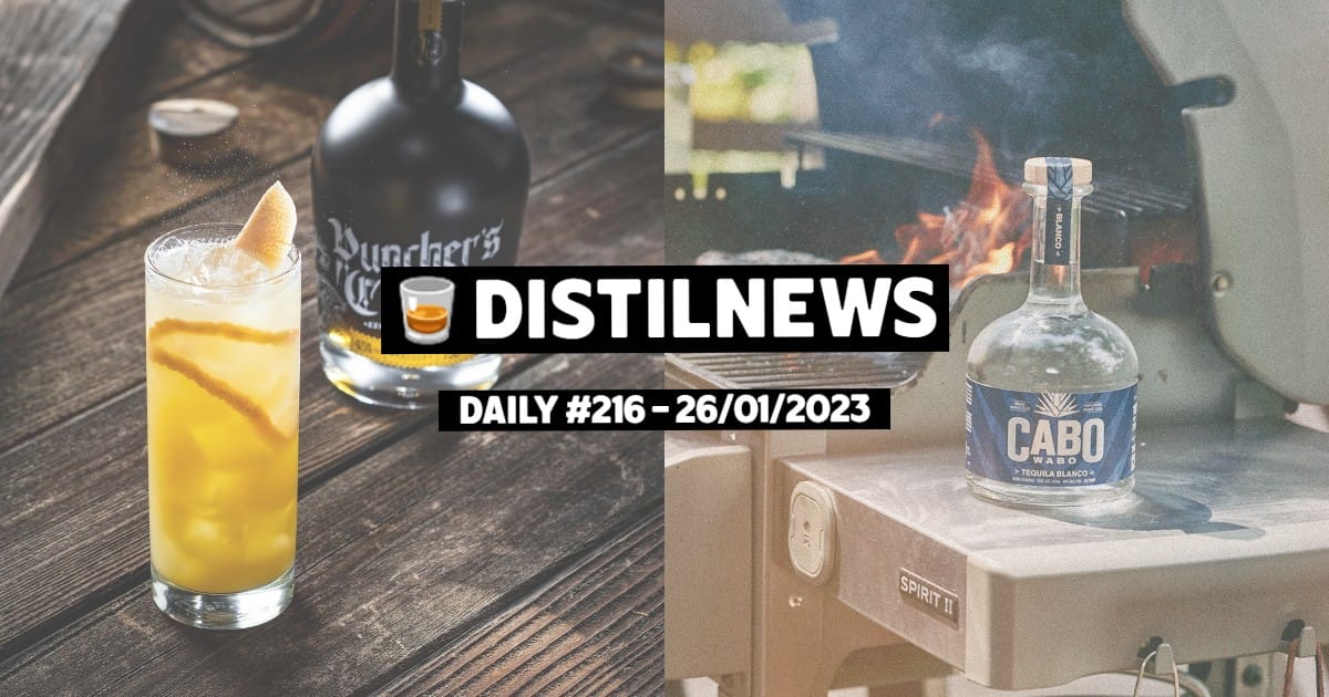 DistilNews Daily #216