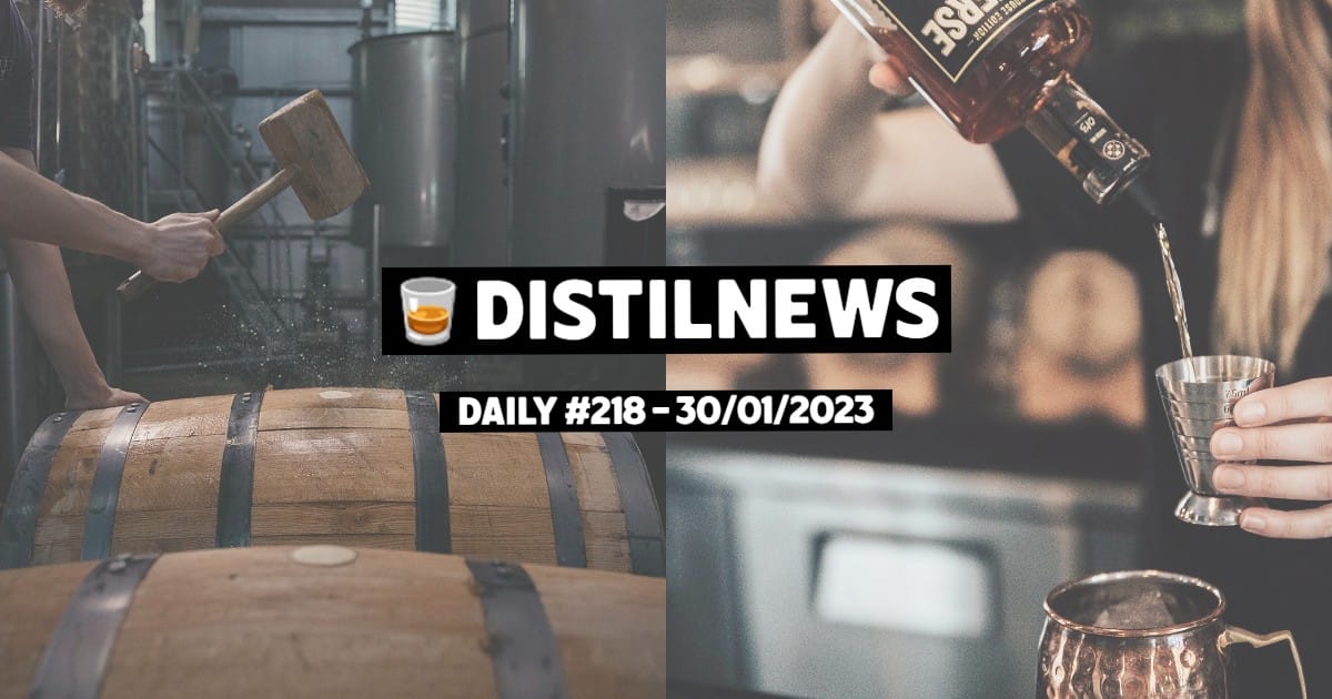 DistilNews Daily #218