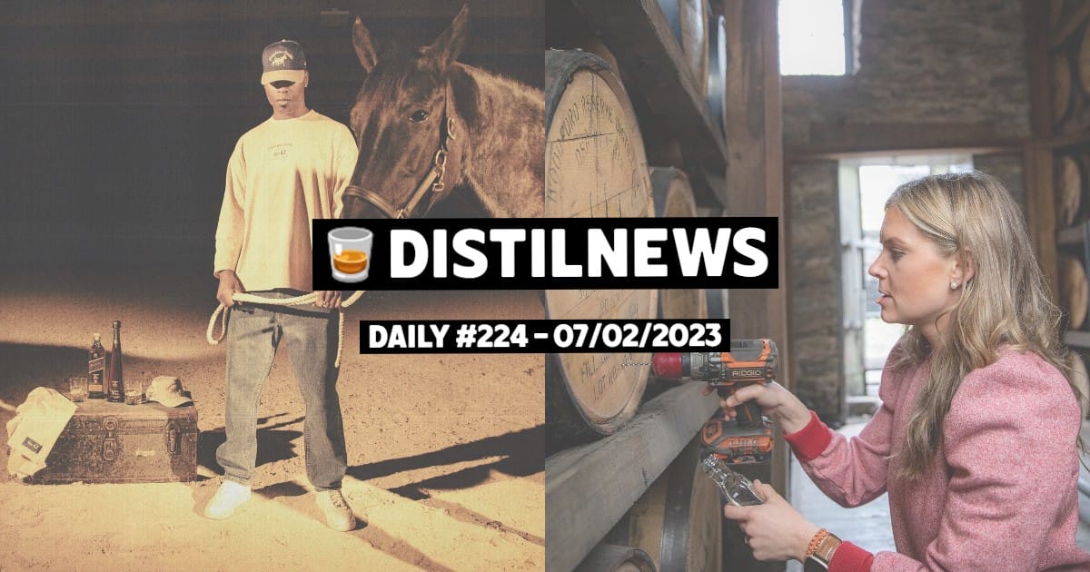 DistilNews Daily #224