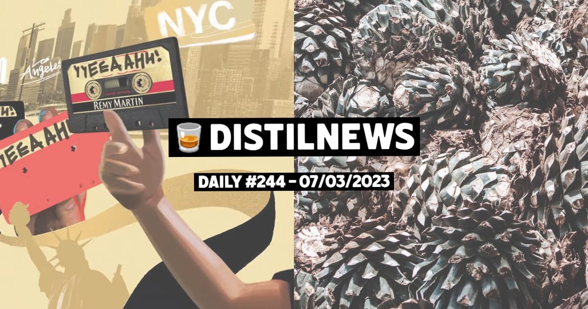 DistilNews Daily #244