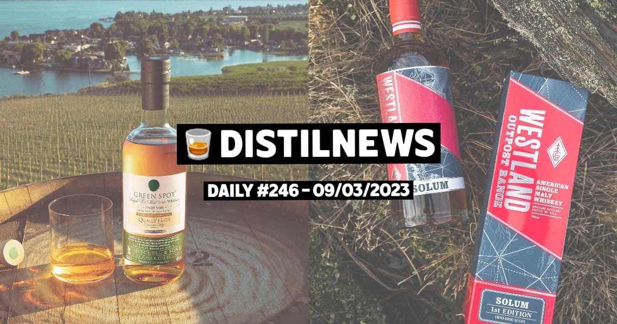 DistilNews Daily #246
