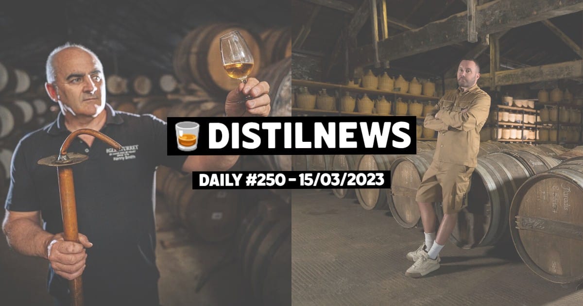 DistilNews Daily #250
