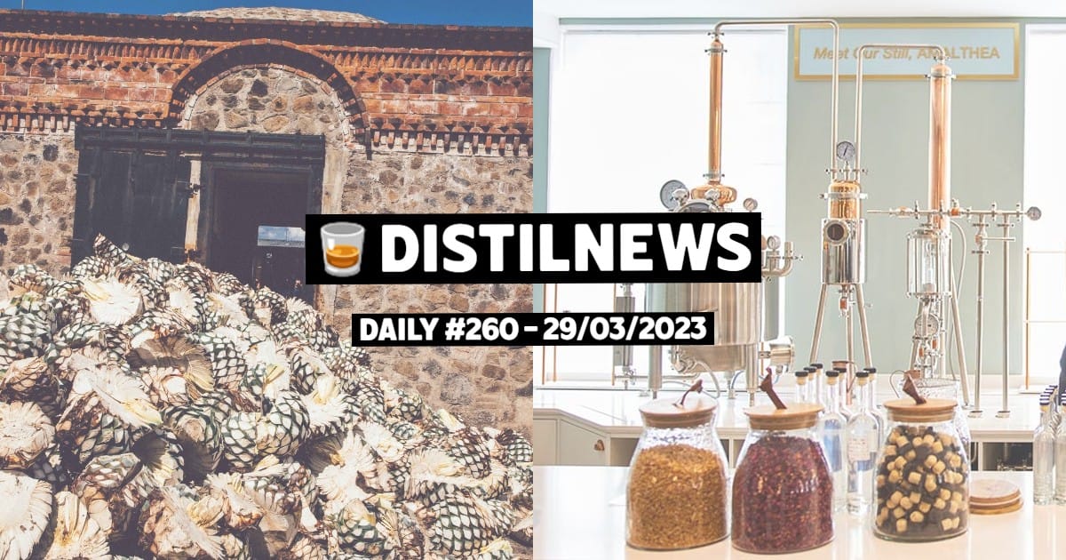 DistilNews Daily #260