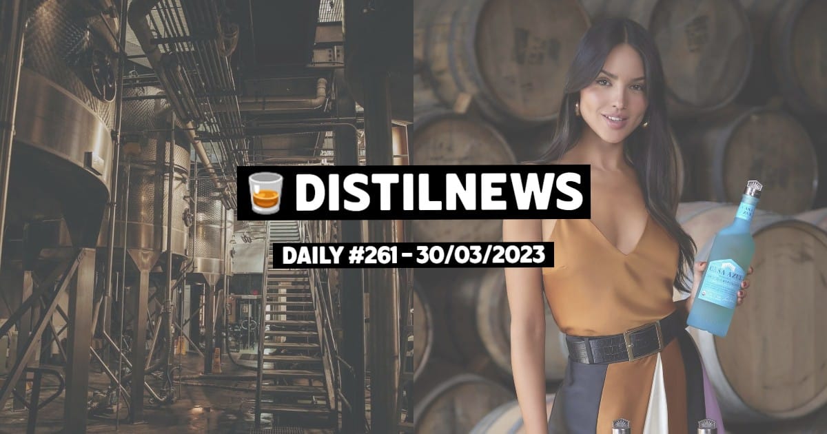 DistilNews Daily #261