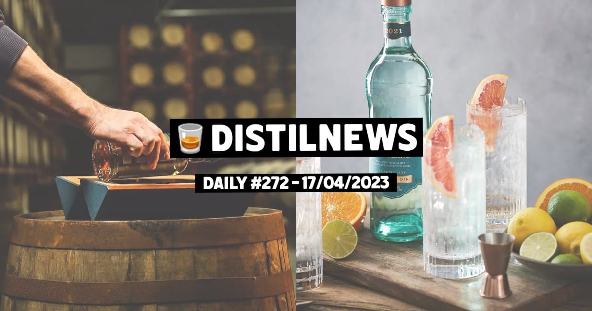 DistilNews Daily #272