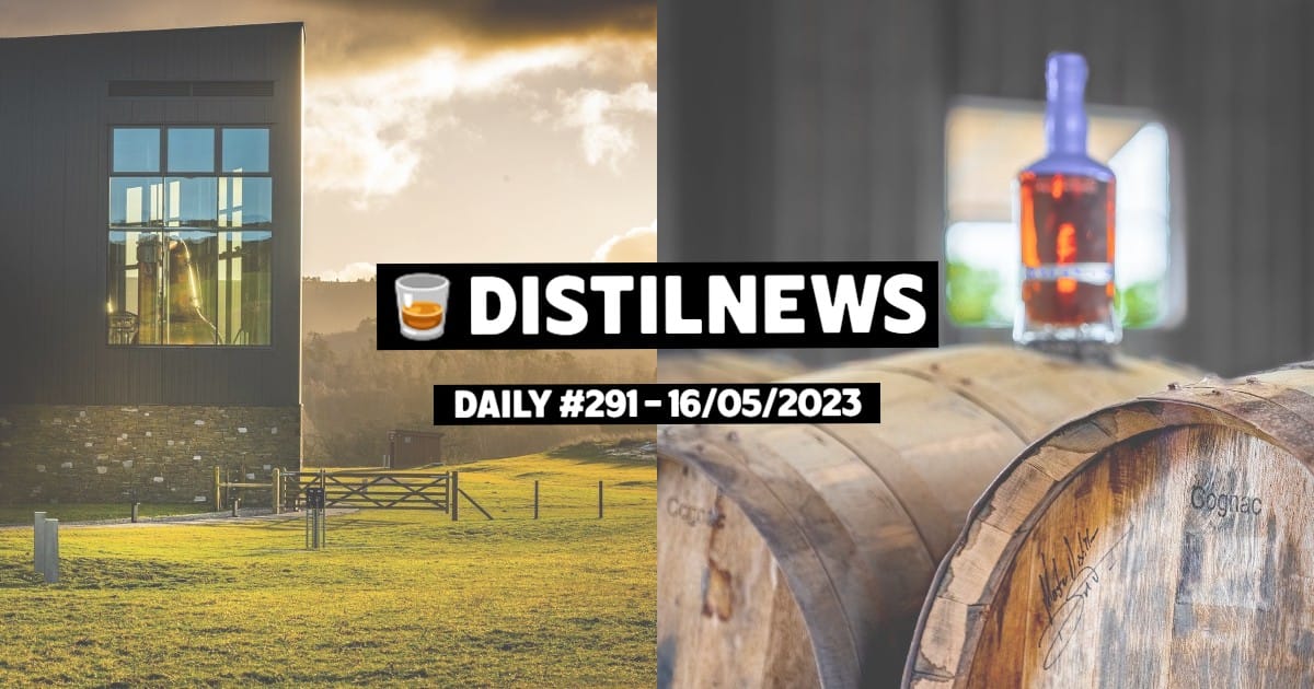 DistilNews Daily #291