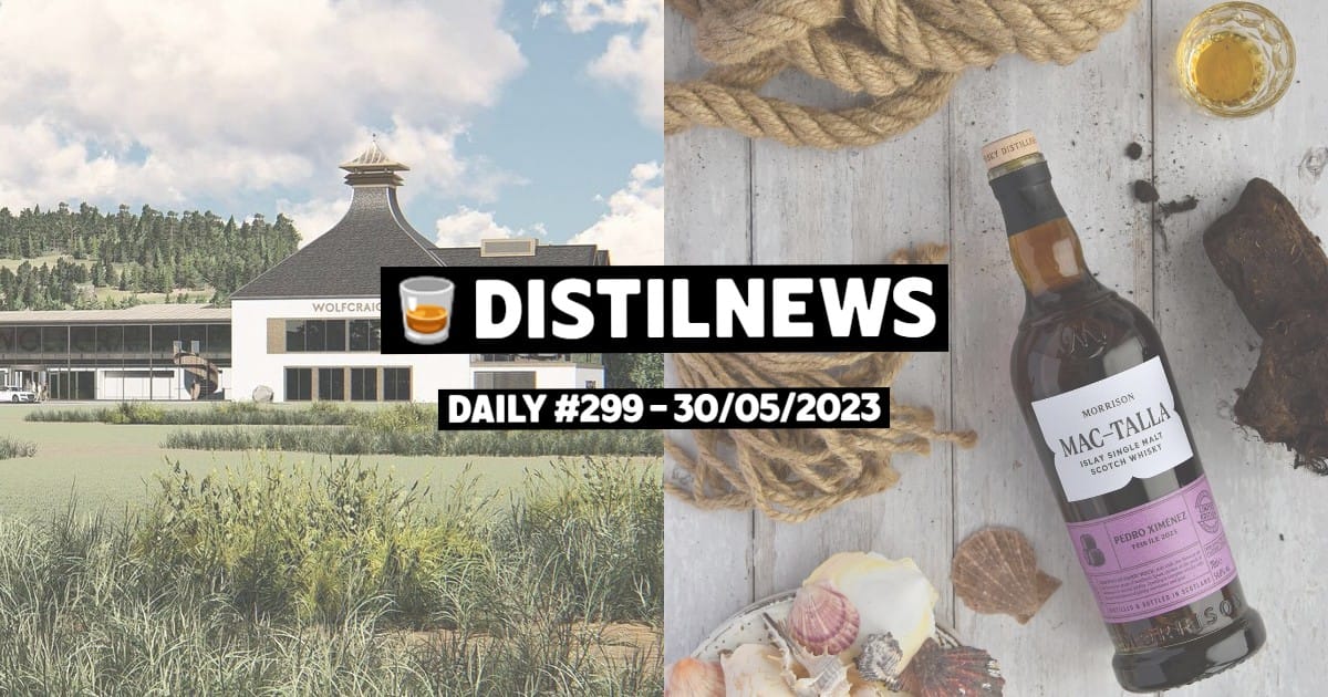 DistilNews Daily #299