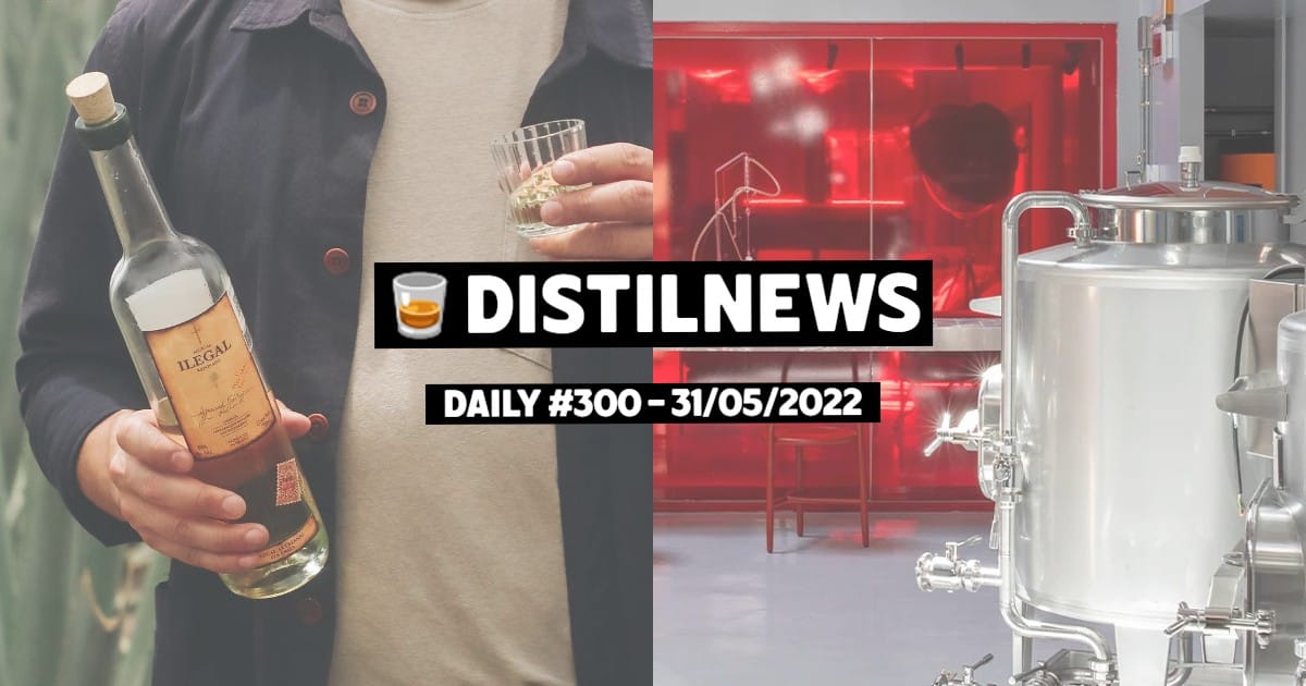 DistilNews Daily #300