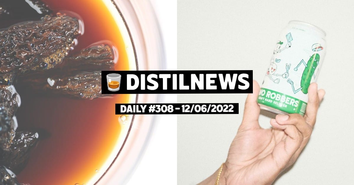 DistilNews Daily #308