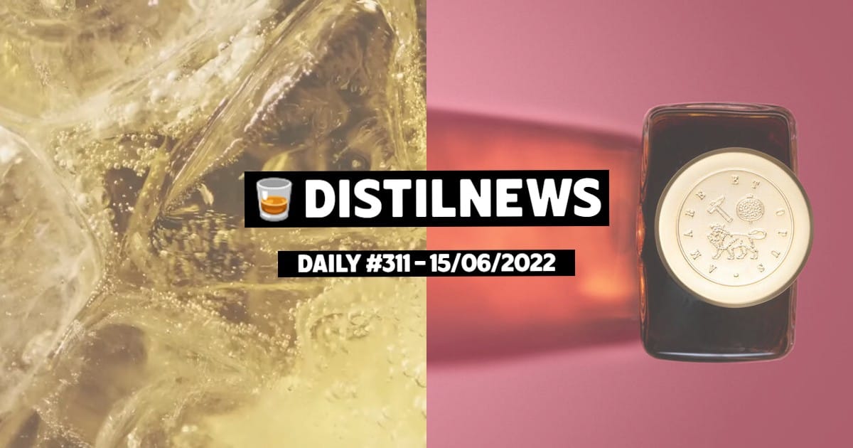 DistilNews Daily #311