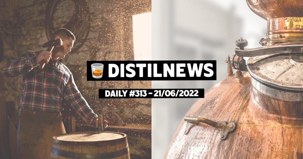 DistilNews Daily #313