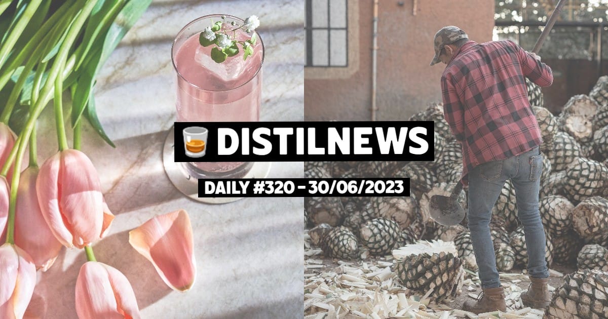 DistilNews Daily #320
