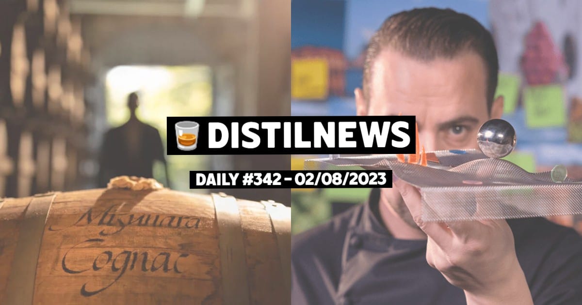 DistilNews Daily #342