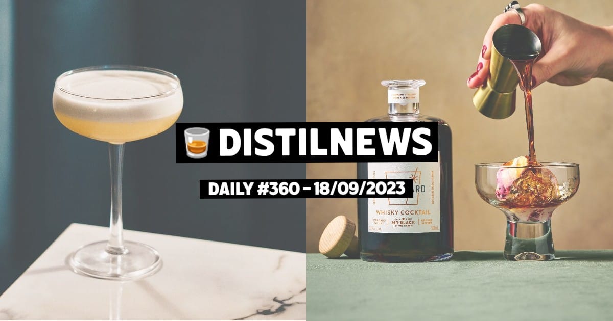 DistilNews Daily #360