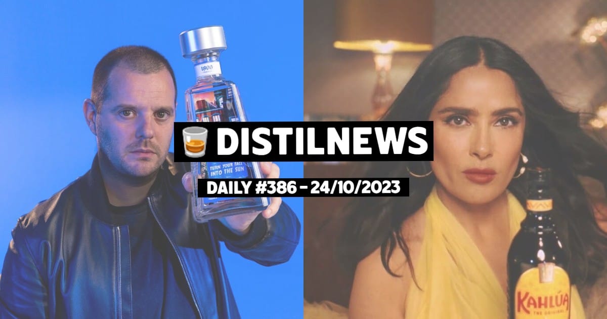 DistilNews Daily #386