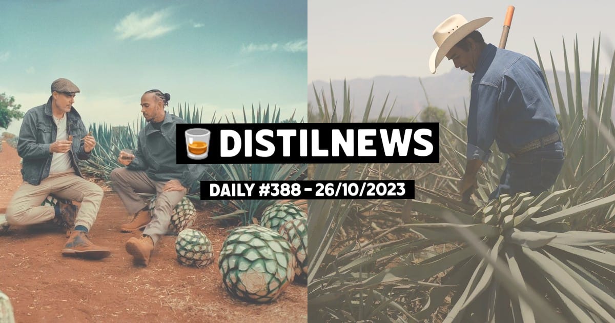 DistilNews Daily #388