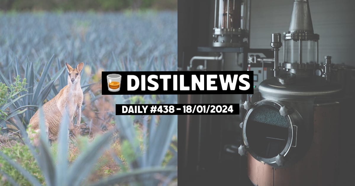 DistilNews Daily #438