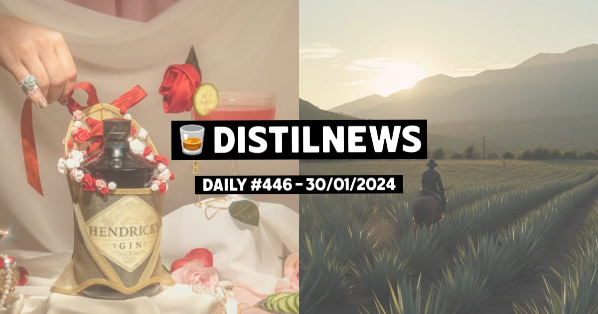 DistilNews Daily #446