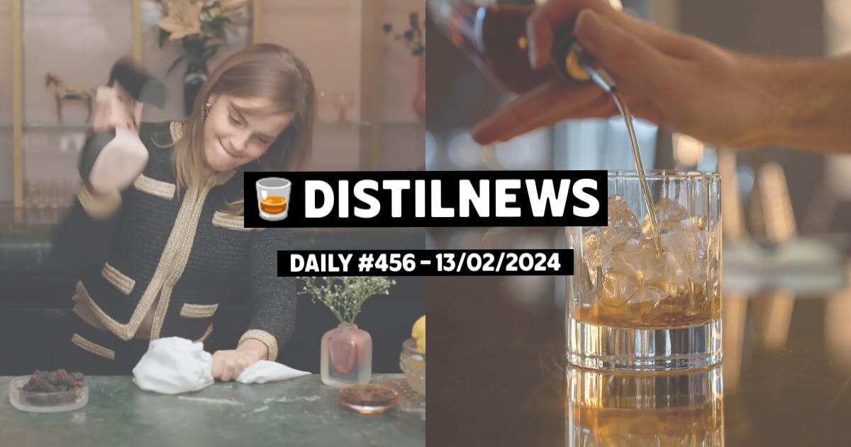 DistilNews Daily #456