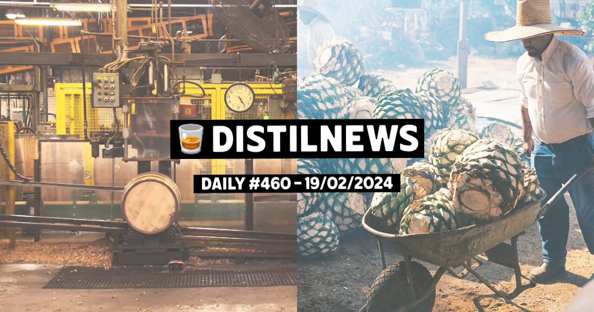 DistilNews Daily #460