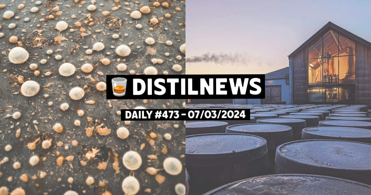 DistilNews Daily #473