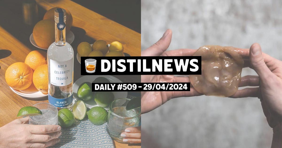 DistilNews Daily #509