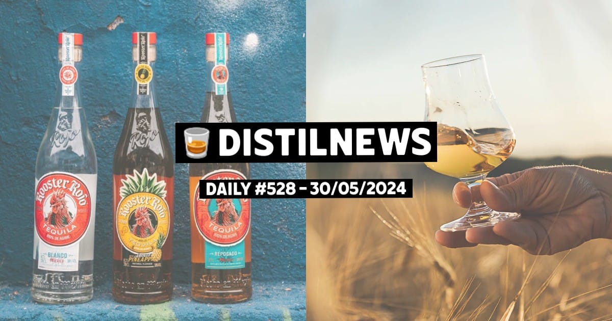 DistilNews Daily #528