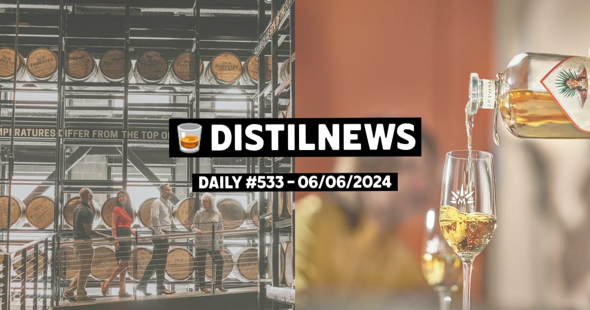 DistilNews Daily #533