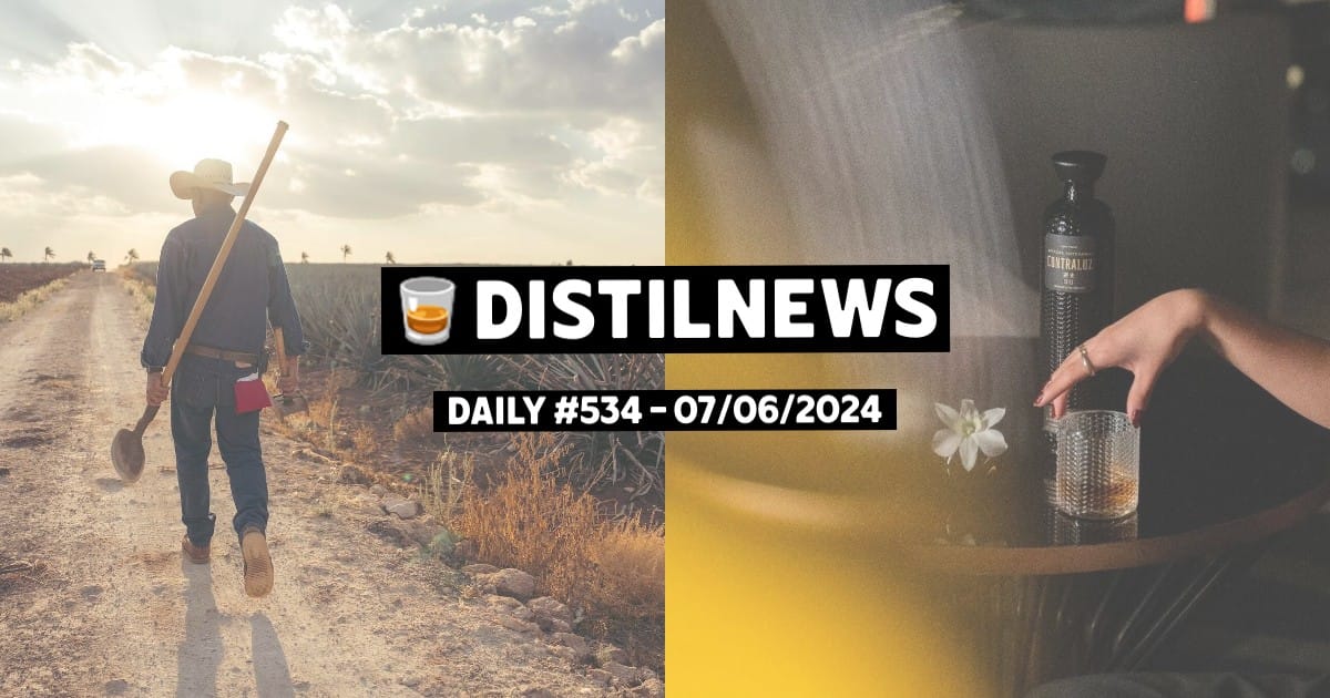 DistilNews Daily #534