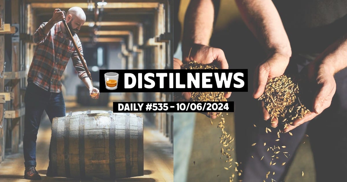 DistilNews Daily #535