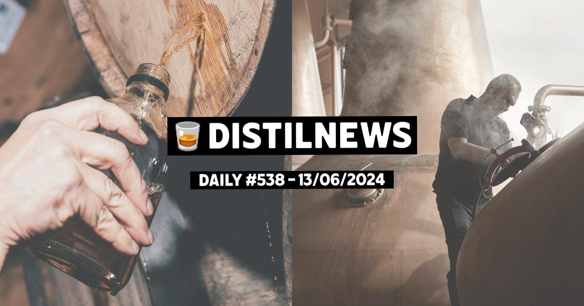 DistilNews Daily #538