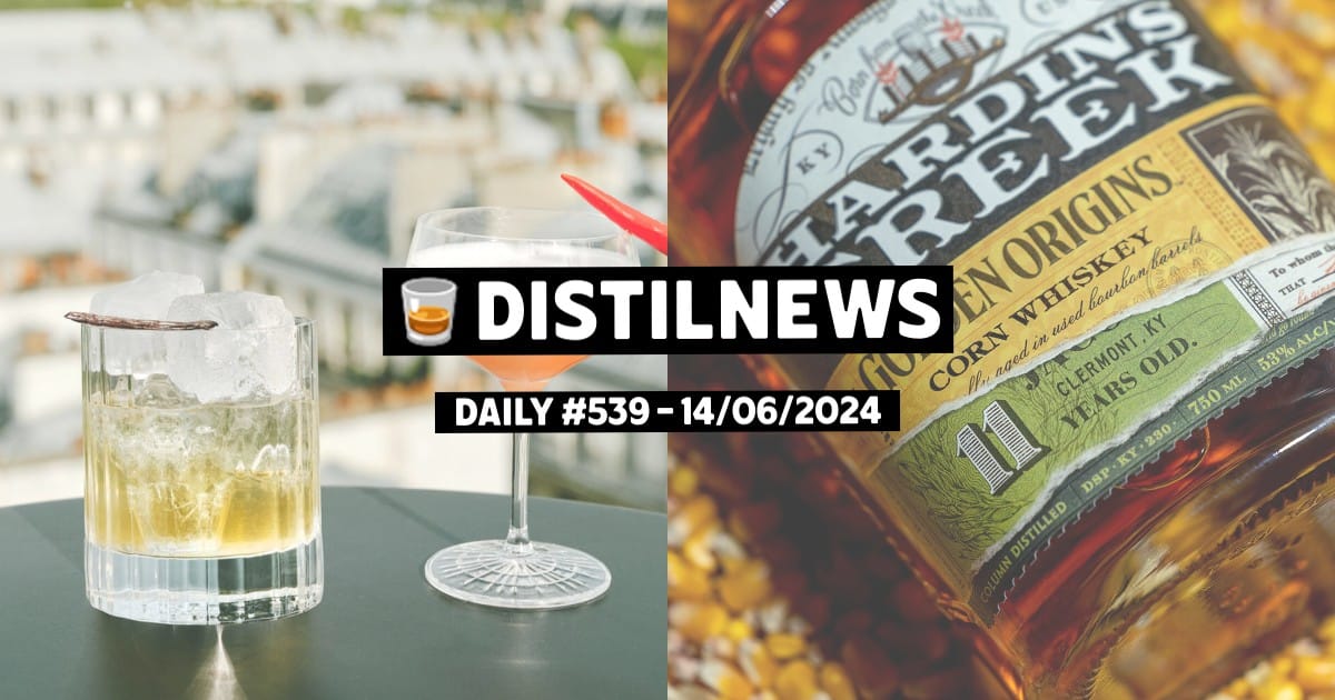 DistilNews Daily #539