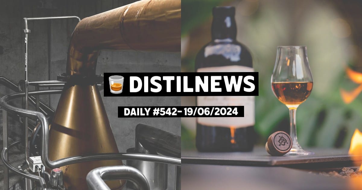 DistilNews Daily #542