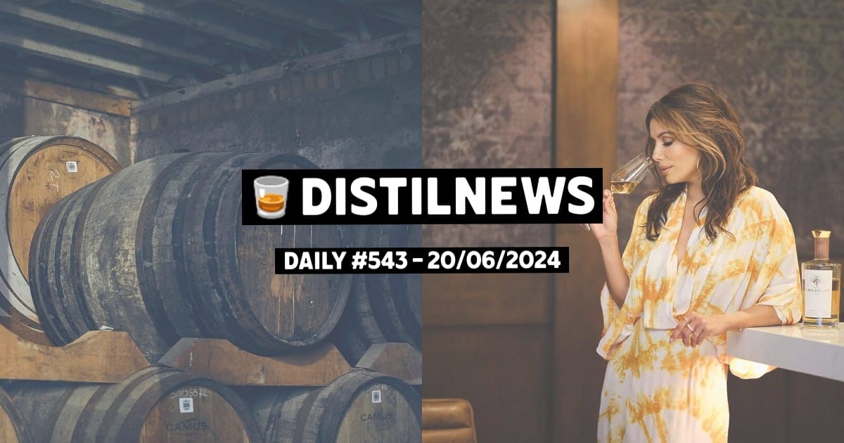 DistilNews Daily #543