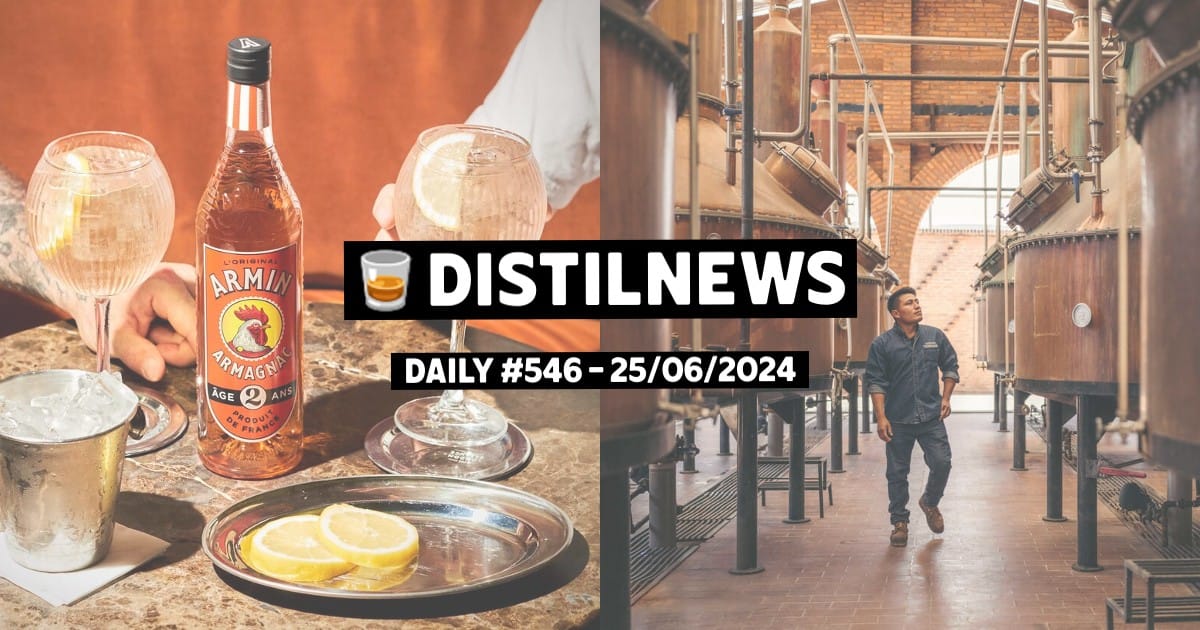 DistilNews Daily #546