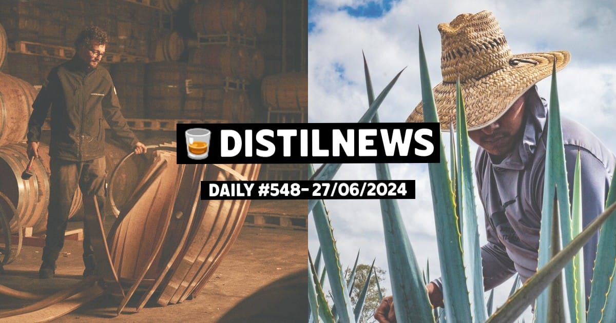 DistilNews Daily #548