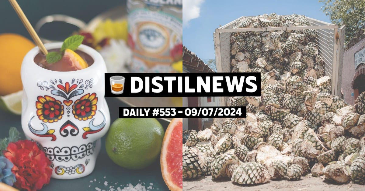 DistilNews Daily #553