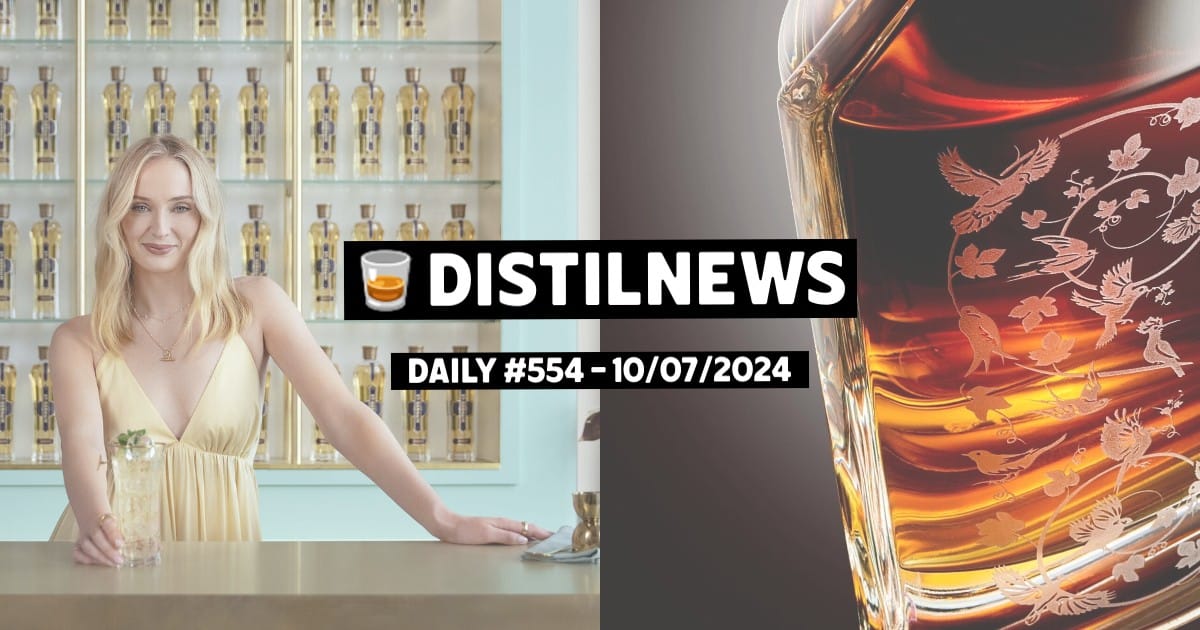 DistilNews Daily #554